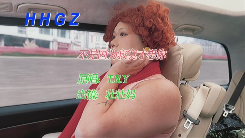壮壮妈MV《不是因为寂寞才想你》