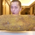 试吃世界上最大的水果菠萝蜜！这么大一个就只要65块！