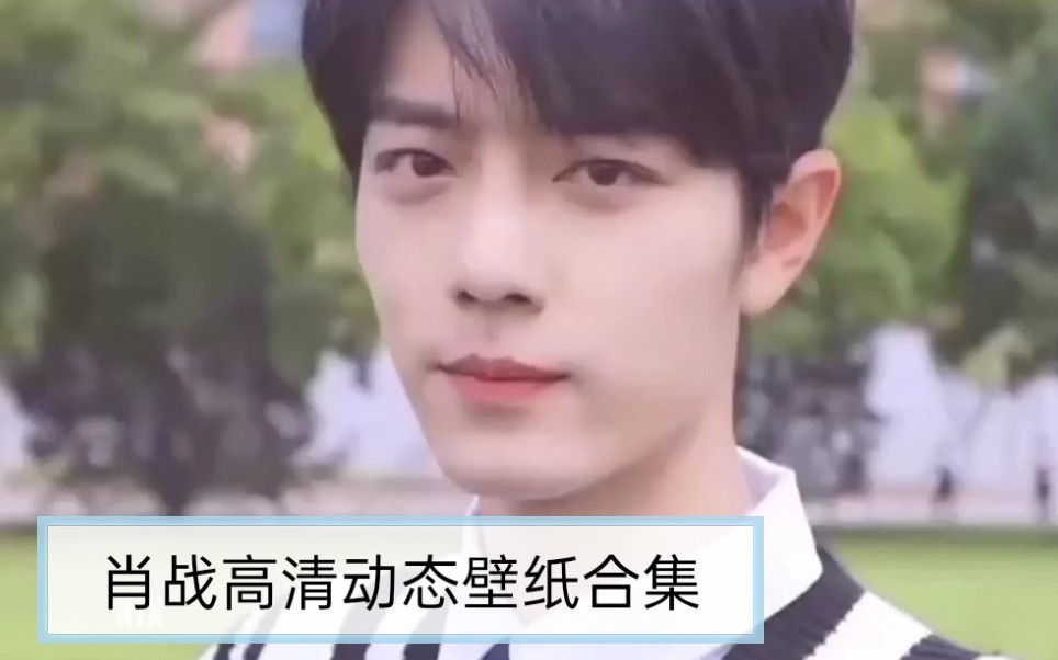 肖战校草级别的颜值