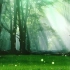 森林2LED大屏背景素材视频免费下载