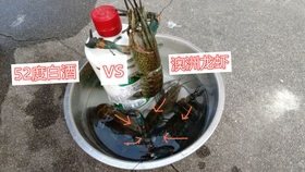 e426d95c5a1f86affb40c84897049c343dbf7457.jpg@280w_158h_1c_100q.jpg