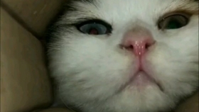 e464ff0d3f993a6fc1a8e23af5e812754ef3e39d.jpg@280w_158h_1c_100q.jpg