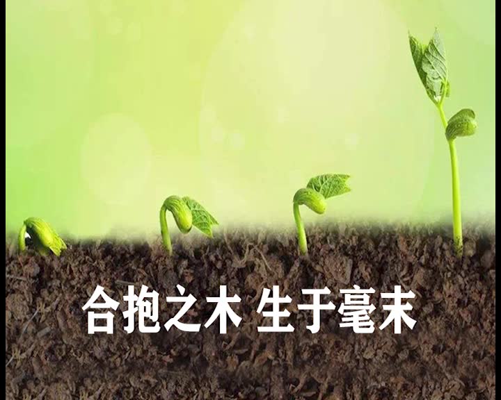 合抱之木生于毫末