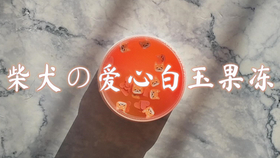 e48867263b167a7afd6bfc1c75534a082418d058.png@280w_158h_1c_100q.jpg