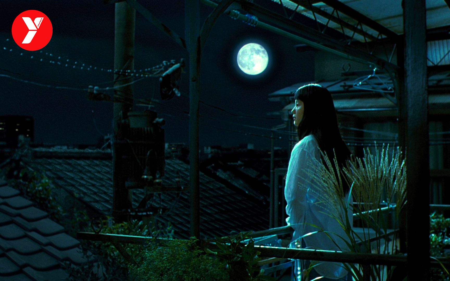 【越哥】没有高潮的日本电影，很难想象，这种片子会在日本如此火爆！《编舟记》