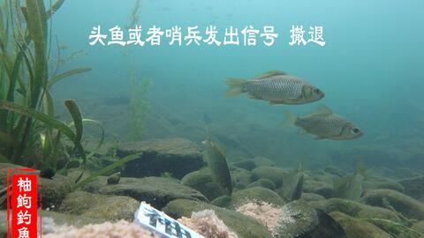 e49796e3c903211732d0a2a08b4460ba14899325.jpg@480w_270h_1c