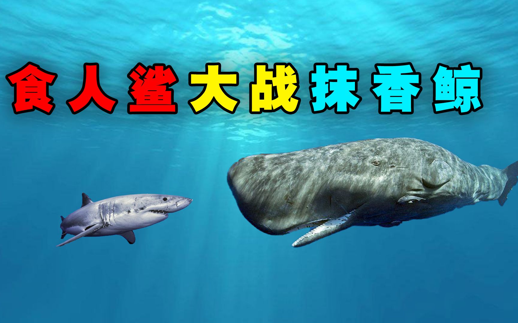 【垂钓星球】鱼怪任务：控制论食人鱼&巨型食人鱼_哔哩哔哩_bilibili