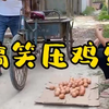 农村搞笑段子 搞笑压鸡蛋# 看一遍笑一遍 # 搞笑视频 # 笑到肚子疼 # 意想不到的搞笑