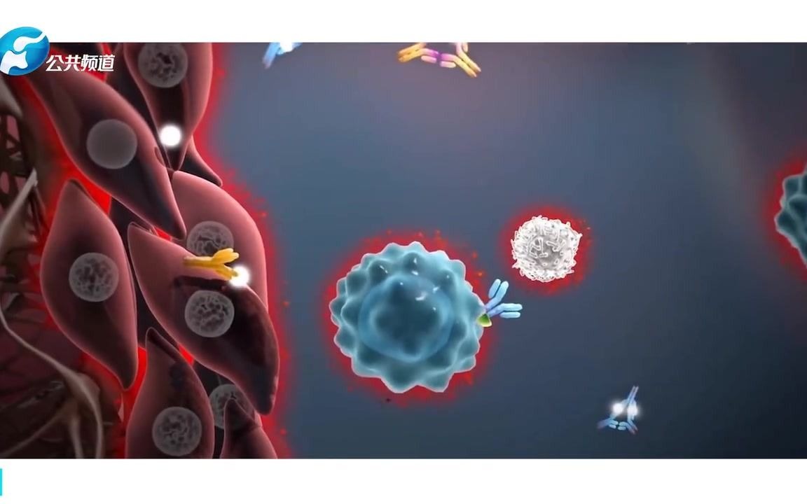 别让风湿恋上你 孟庆良:科学诊疗,远离风湿!哔哩哔哩bilibili