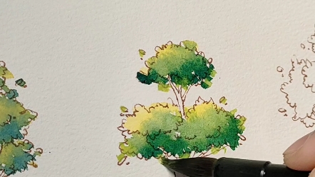 水彩不会画树？看一个视频，一通百通。