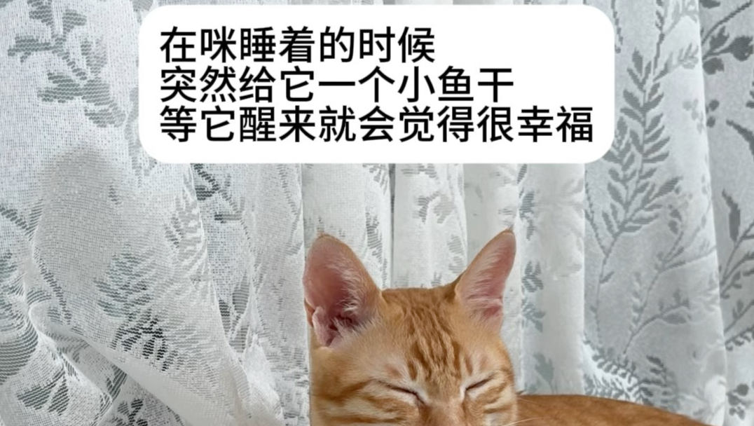 不是？？？这对吗！