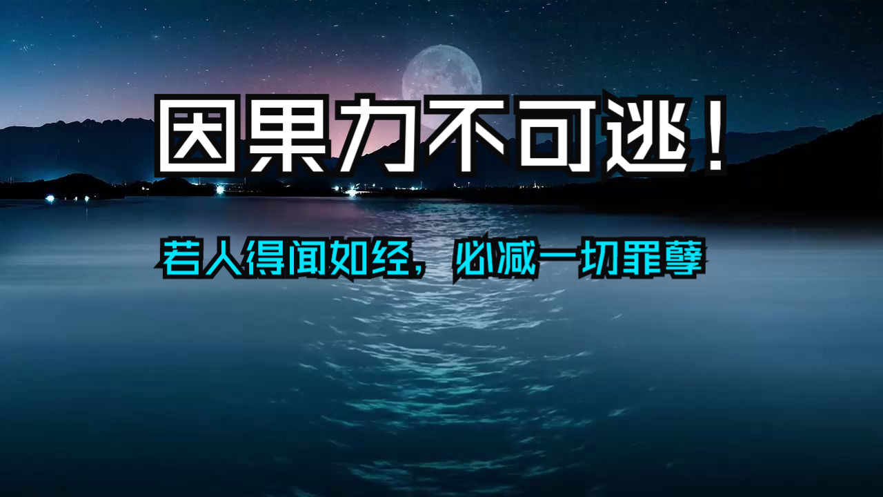 善恶轮回的启示，因果力不可逃！若人得闻如经，信心清净，必能除灭一切罪孽！