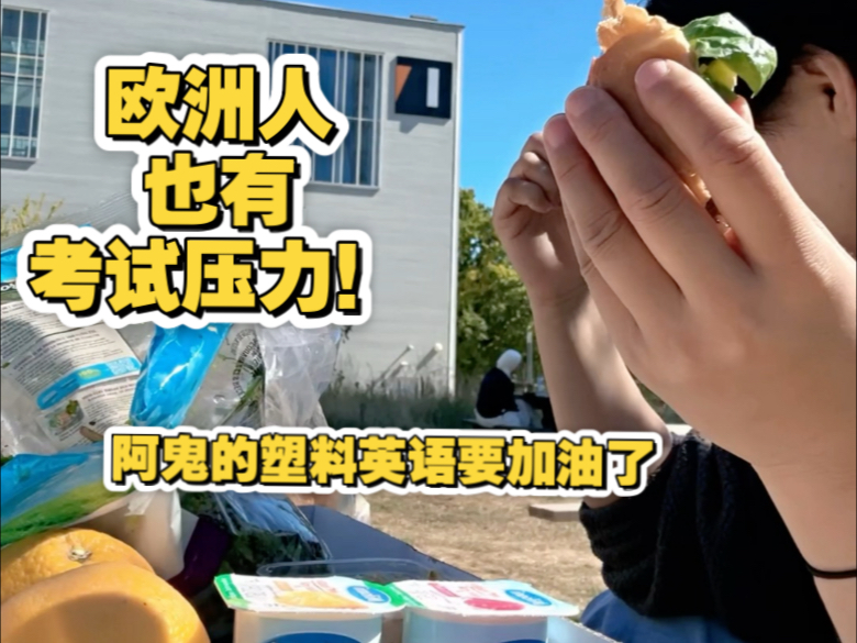 和比利时朋友聊压力/塑料英语将来面试可咋办啊！