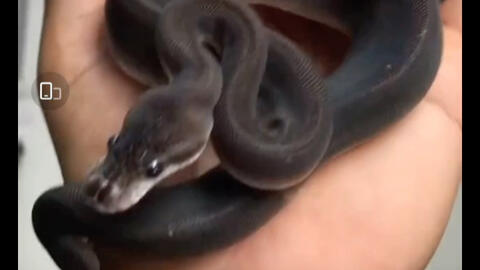 e50a828809482d3575bc39f09a9db816883f197a.jpg@480w_270h_1c