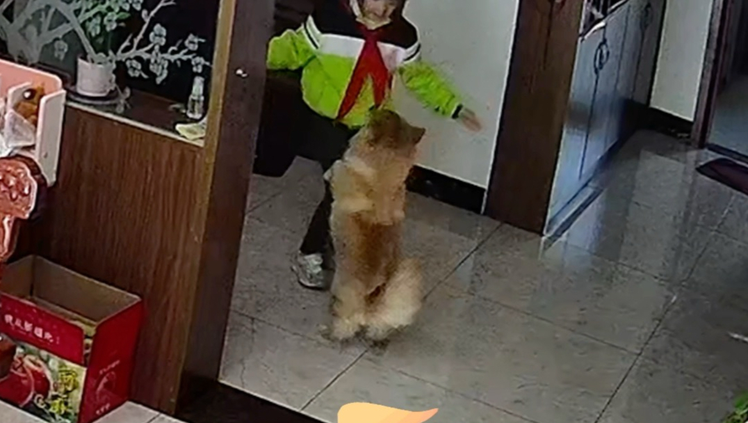 又是载歌载舞庆回家的一天，只不过…