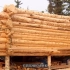 【木屋】一对夫妇如何在阿拉斯加建造小木屋-Log Cabin Hub  YouTube  半生不熟
