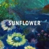 【Orangestar】Sunflower【吉他弹唱 short ver.】