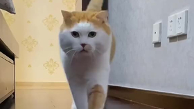 e53324fde4dbf1569566a1239769820bd3f0446a.png@280w_158h_1c_100q.jpg