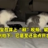 猫咪坐在床上“刷”视频，被主人看到拍下：它甚至还会点开合集