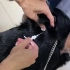 【宠物店】 深圳养狗打芯片流程来了。