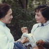 【剧情/传记】雷雨（1984）【孙道临/顾永菲