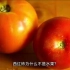 西红柿为什么不是水果？