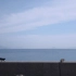 【纪录片】岩合光昭的猫步走世界 之「福岡〜玄界灘・響灘〜」