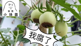 e56cd42be2038c2ea6d01985ac93ed9f32085549.jpg@280w_158h_1c_100q.jpg