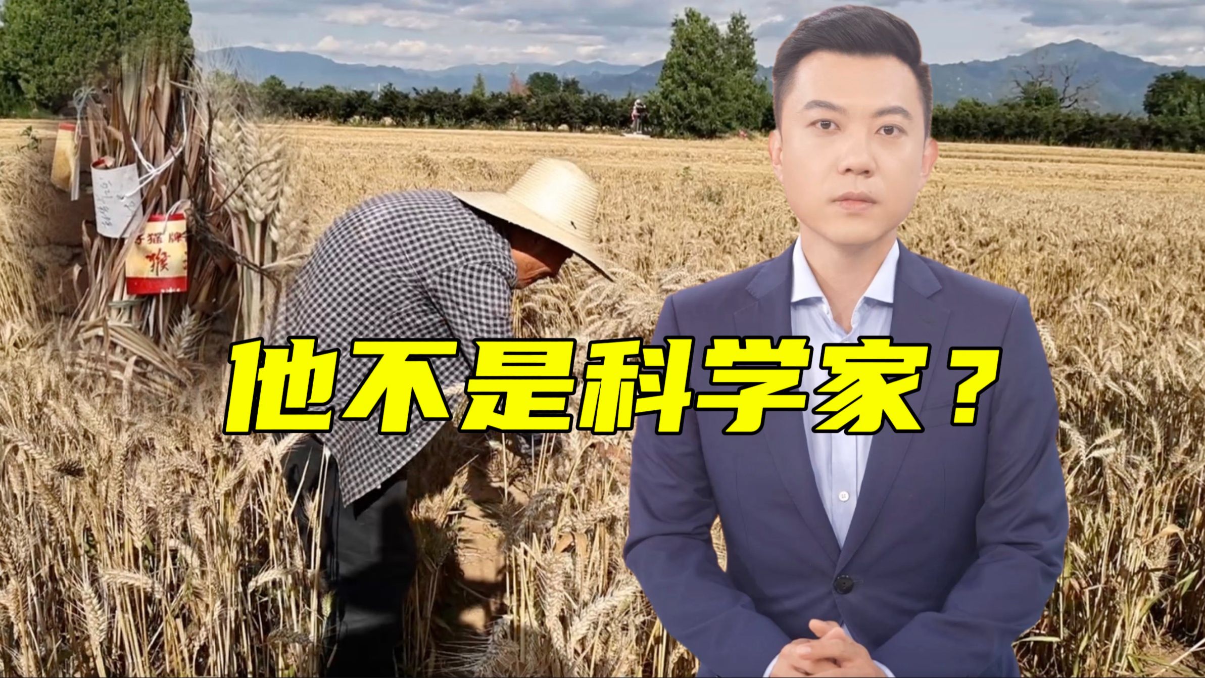 他的麦田要一株株手拔！整整20年！农村老人自己搞育种！【主播说三农】