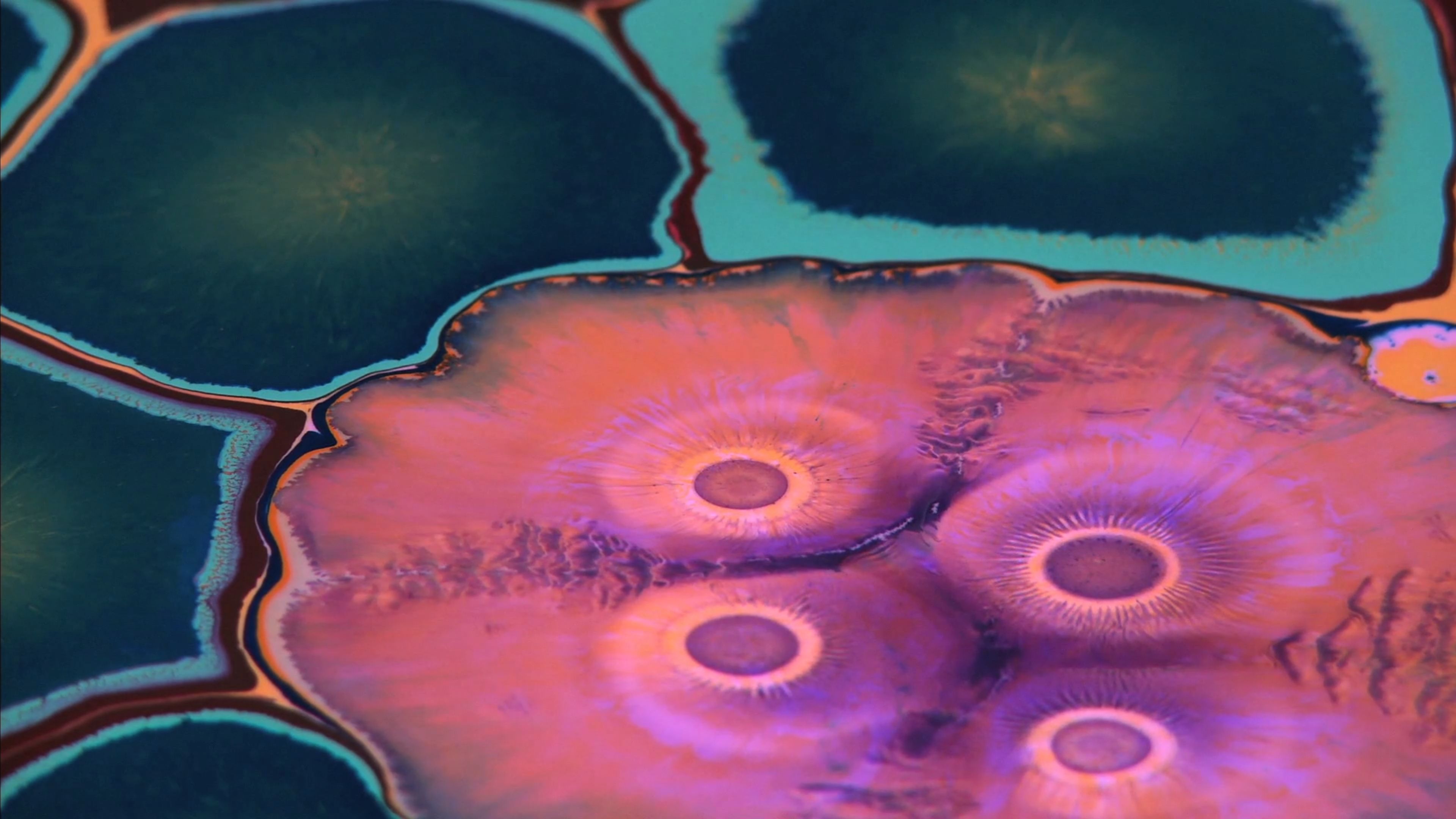 Bruce Riley Artrustee Artrustee bruce-riley-artrustee-artrustee