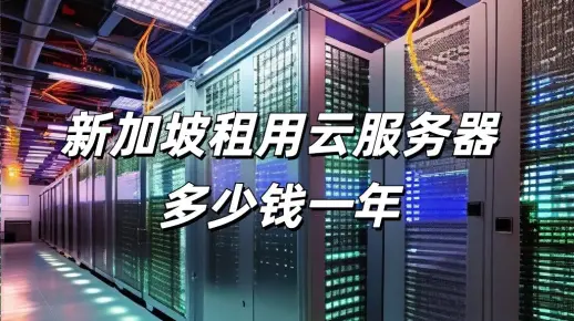 新加坡云服务器租用流程是什么