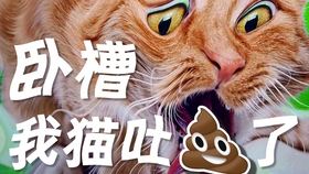 e5b96fb6f87e4b8ab85cb3a2cd6dc3b74352929c.jpg@280w_158h_1c_100q.jpg