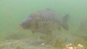 e5c8dd95352de252495e0c840893140b2b49d2ea.jpg@280w_158h_1c_100q.jpg