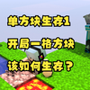 我的世界单方块生存1：开局一格方块，如何生存并且击败末影龙_我的世界