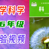 小学科学 1-6年级 科学实验视频 科普教学 教科版 一年级科学二年级科学三年级科学四年级科学五年级科学六年级科学上册下册