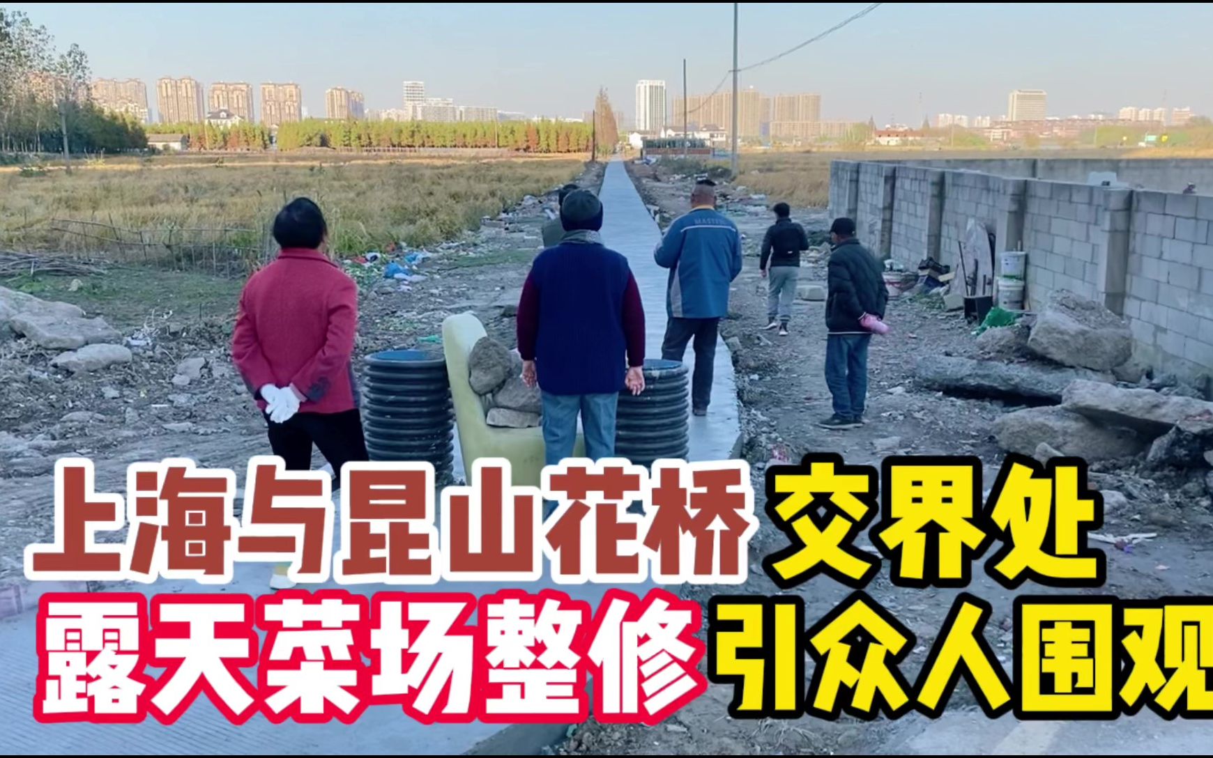 【南京晨报】东南梧桐，叶舞深秋！来这里，看南京最人文的梧桐大道