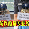 没有一口肉是白吃的：猫头鹰飞进公安局，帮忙做起防诈宣传
