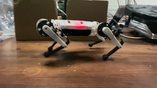 百元级开源舵狗侧向稳定性测试v0.1 灯哥开源四足机器人 机器狗