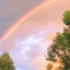 “被人艾特看彩虹，真是一件超级浪漫又幸福的事，记得许愿”