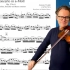 维瓦尔第a小调协奏曲第二乐章 Vivaldi Violin Concerto in A minor RV 356 2nd
