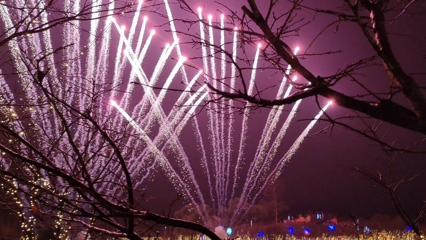 2022年大年初一近距离观看重庆垫江牡丹樱花世界烟花_哔哩哔哩_bili