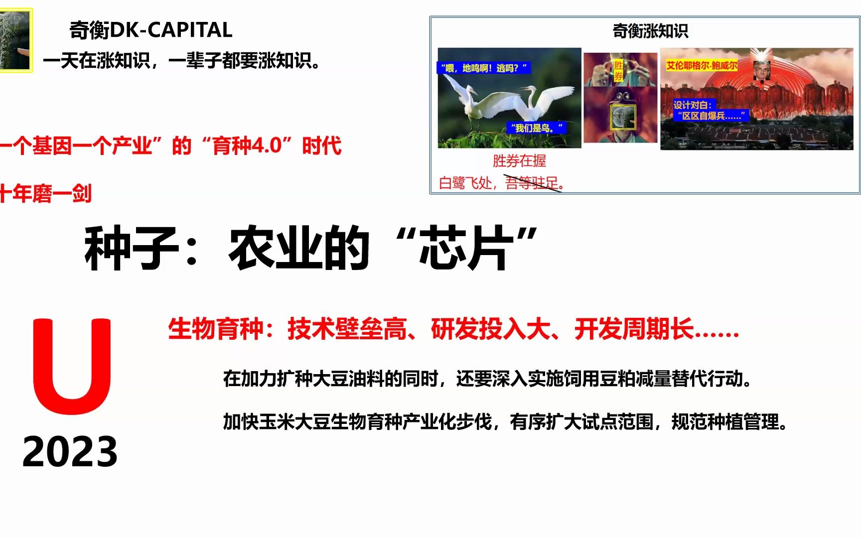 种子：农业的“芯片”【奇衡涨知识（258）】