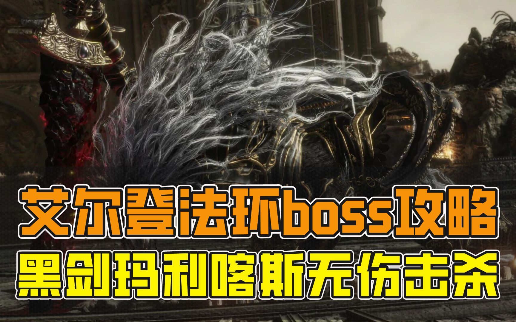 活动作品艾尔登法环boss攻略黑剑玛利喀斯无伤击杀