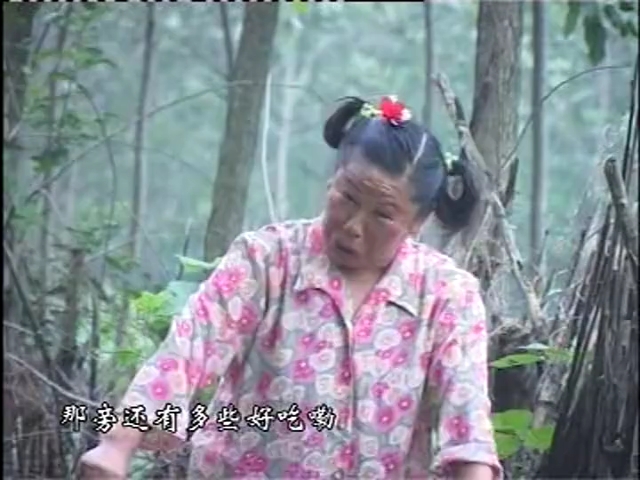 民间小调 小姨哭姐夫