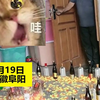 儿媳给公公准备满屋惊喜，打开门那刻公公表情太幸福！仪式感拉满
