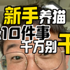 新手养猫 这10件事 千万别干