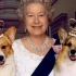 【真·人不如狗】女王和她的柯基在希斯罗机场合集