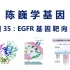 【陈巍学基因】视频35：EGFR基因靶向治疗