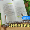 阅读丨一个浅浅写在薄纸上的名字就能紧紧缚住一个人《阿勒泰的角落》李娟