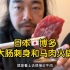 峰哥携日本留学生品尝福冈特色大肠和马肉刺身